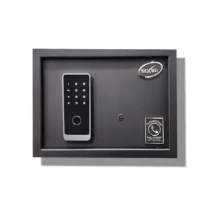 Biometric Electronic Safe 15 Lit.