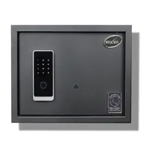 Biometric Electronic Safe 30 Lit.