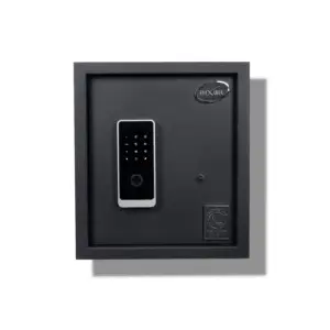 Biometric Electronic Safe 20 Lit.